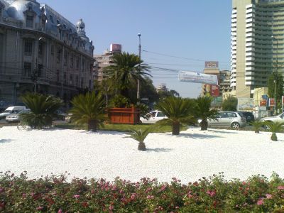 Palmieri